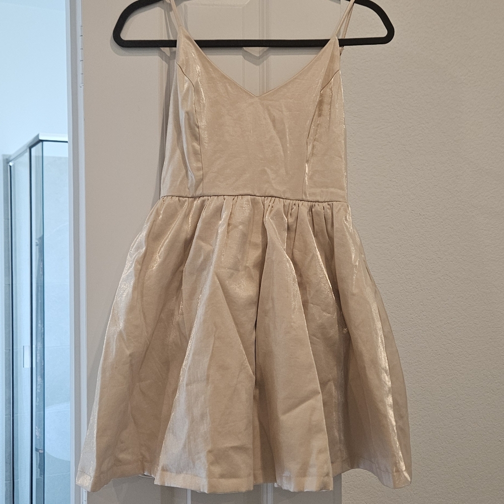 Mustard Seed Champagne Mini Dress